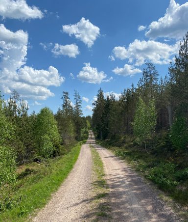 Alsterfors - Gullaskruv
