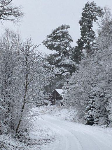 Alsterfors