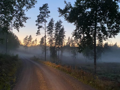 Alsterfors im Herbst