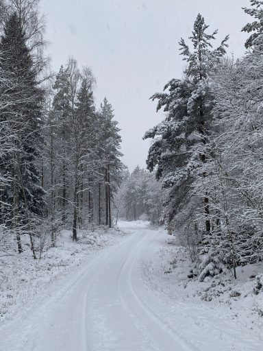 Alsterfors